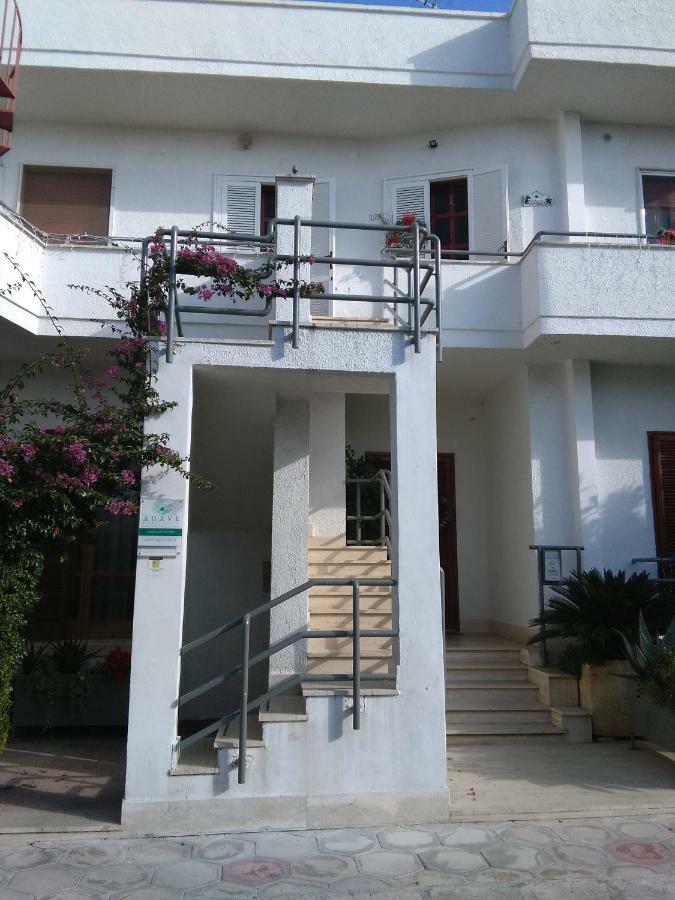Campi Salentina Agave Bed&Breakfast المظهر الخارجي الصورة